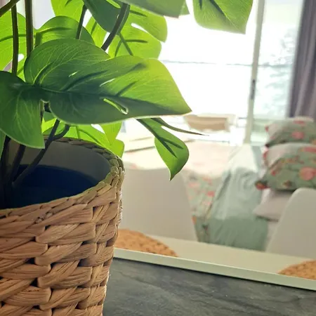 Slow Boat Experience *